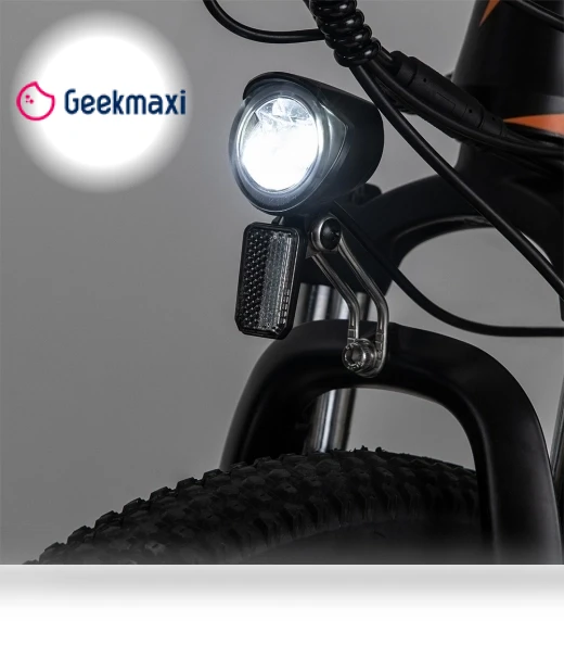 Electric Bike — Electric Self-Balancing Scooters, Fafrees