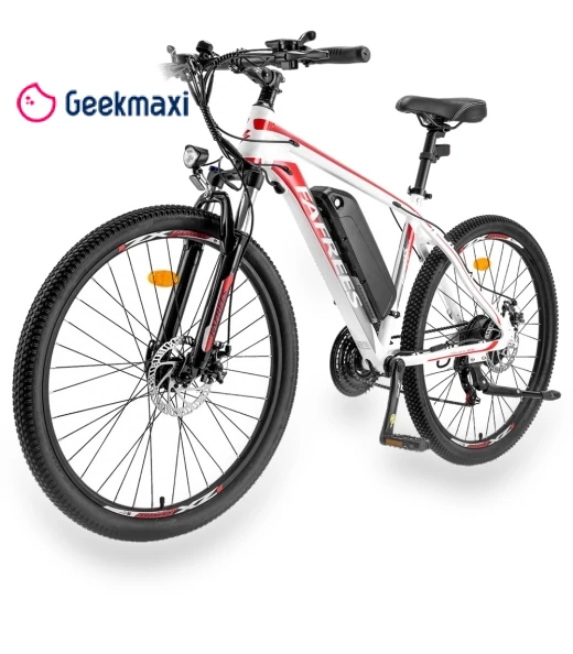 Electric Bike — Electric Self-Balancing Scooters, Fafrees