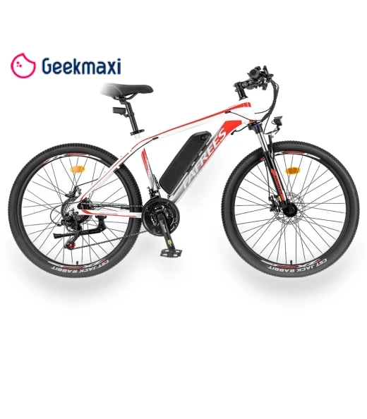 Electric Bike — Electric Self-Balancing Scooters, Fafrees