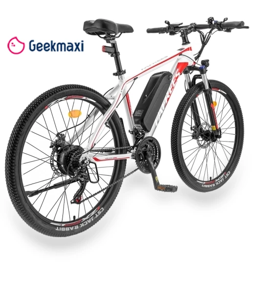 Electric Bike — Electric Self-Balancing Scooters, Fafrees