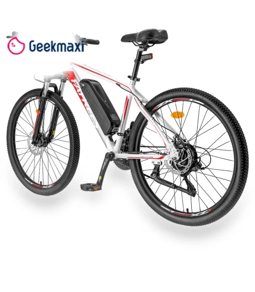 Electric Bike — Electric Self-Balancing Scooters, Fafrees