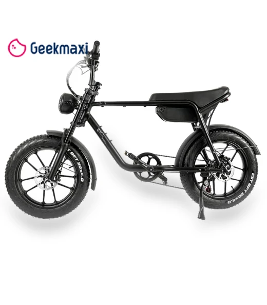 Electric Bike — Electric Self-Balancing Scooters, CMACEWHEEL