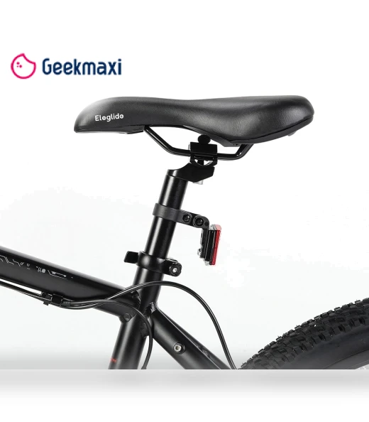 Electric Mountain Bike — E-Bikes, Eleglide