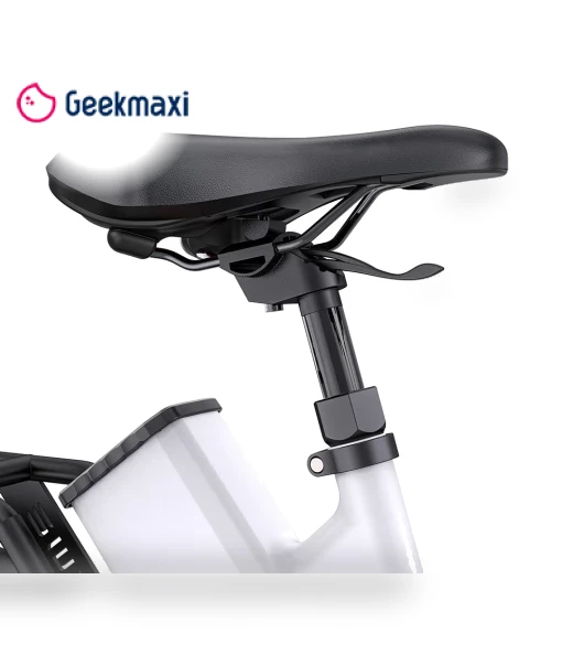 Commuter Electric Bike — Electric Self-Balancing Scooters, ENGWE