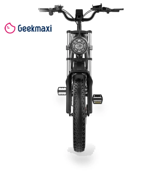 Electric Bike — Electric Self-Balancing Scooters, Ridstar