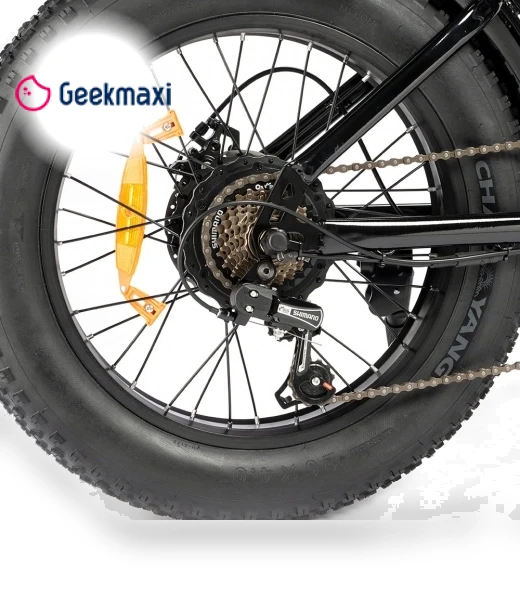 Mini Electric Bike — Electric Self-Balancing Scooters, Ridstar
