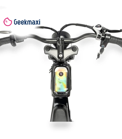 Mini Electric Bike — Electric Self-Balancing Scooters, Ridstar