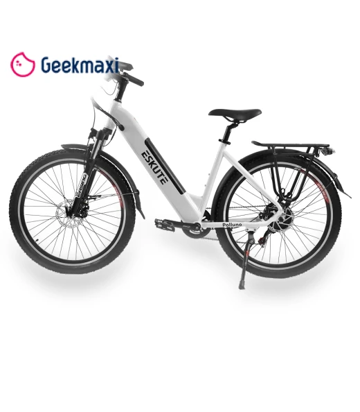 Electric Bike — Electric Self-Balancing Scooters, ESKUTE