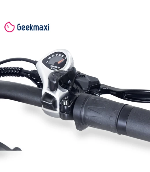 Electric Bike — E-Bikes, Hidoes