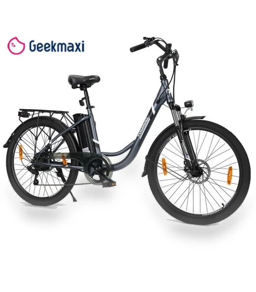 Commuter Electric Bike — Electric Self-Balancing Scooters, Touroll