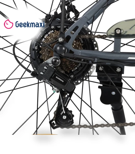Commuter Electric Bike — Electric Self-Balancing Scooters, Touroll