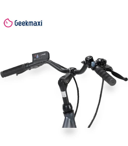 Commuter Electric Bike — Electric Self-Balancing Scooters, Touroll