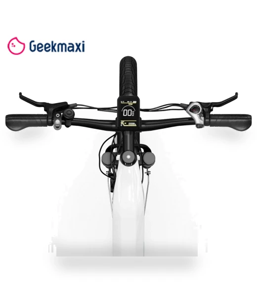 City Electric Bike — E-Bikes, Onesport