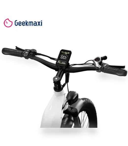City Electric Bike — E-Bikes, Onesport