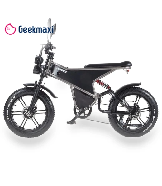 Electric Bike — Electric Self-Balancing Scooters, RANDRIDE