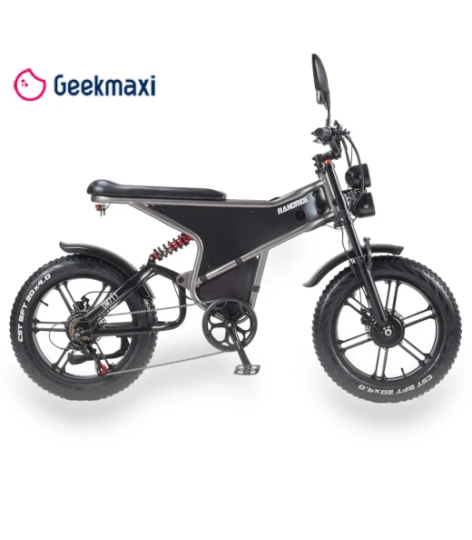 Electric Bike — Electric Self-Balancing Scooters, RANDRIDE