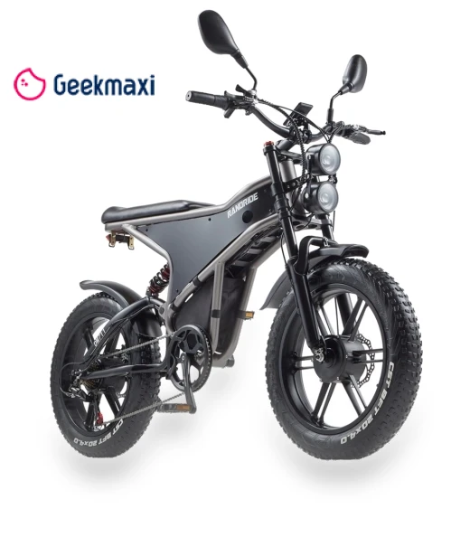 Electric Bike — Electric Self-Balancing Scooters, RANDRIDE