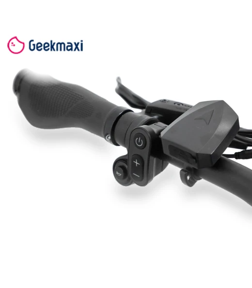 Mountain Electric Bike — Electric Self-Balancing Scooters, DUOTTS