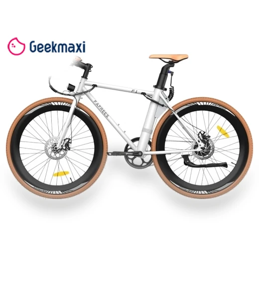City Electric Bike — Electric Self-Balancing Scooters, Fafrees