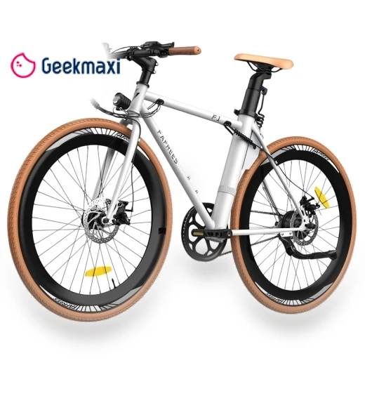 City Electric Bike — Electric Self-Balancing Scooters, Fafrees