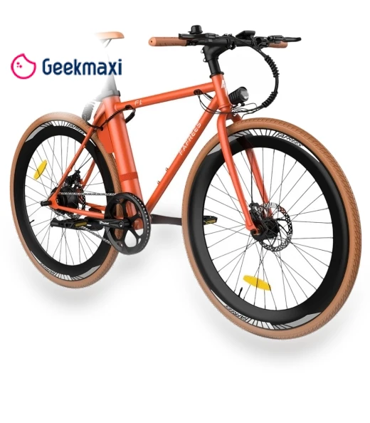City Electric Bike — Electric Self-Balancing Scooters, Fafrees