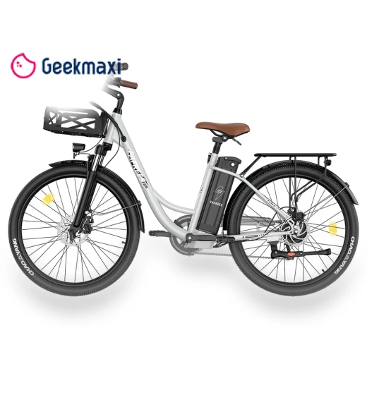 Lasting Electric Bike — E-Bikes, Fafrees