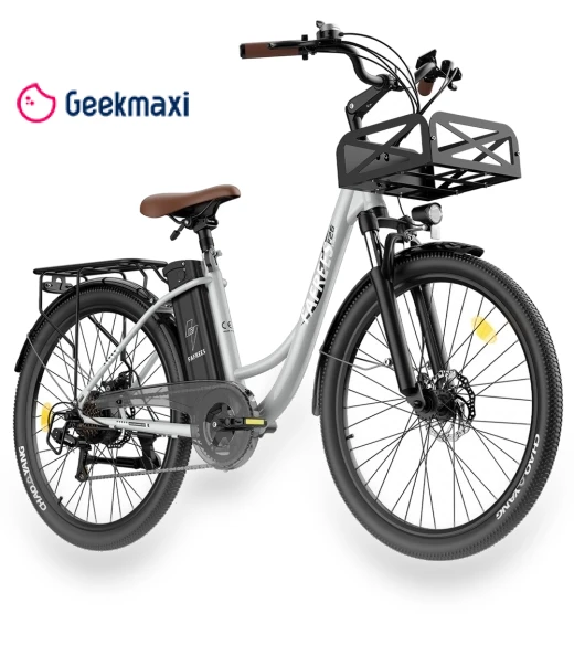 Lasting Electric Bike — E-Bikes, Fafrees