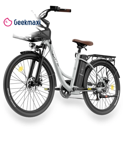 Lasting Electric Bike — E-Bikes, Fafrees