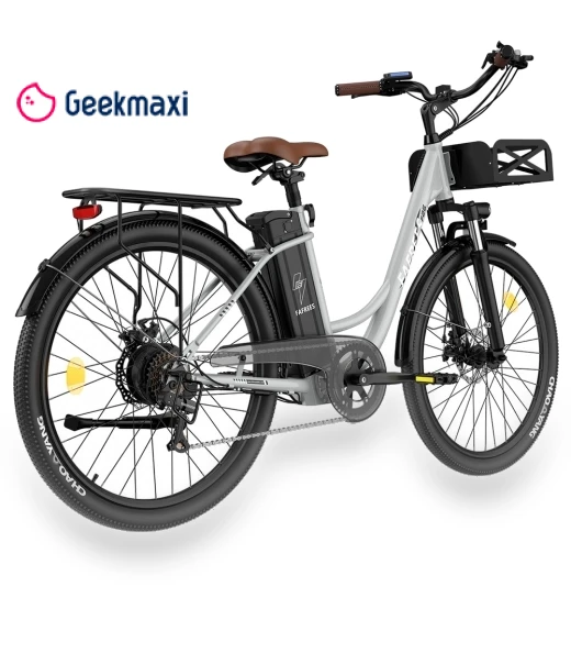 Lasting Electric Bike — E-Bikes, Fafrees