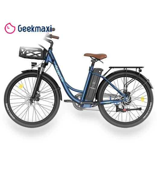 Lasting Electric Bike — Electric Self-Balancing Scooters, Fafrees