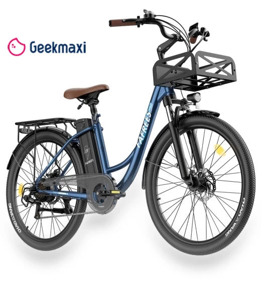Lasting Electric Bike — Electric Self-Balancing Scooters, Fafrees