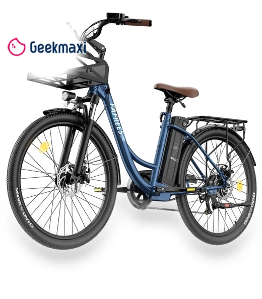 Lasting Electric Bike — Electric Self-Balancing Scooters, Fafrees