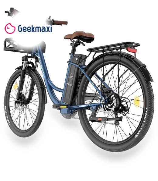 Lasting Electric Bike — Electric Self-Balancing Scooters, Fafrees