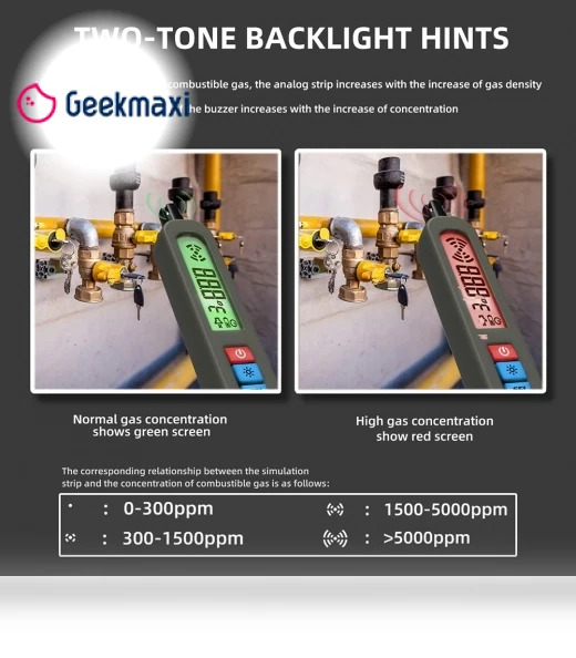 Combustible Gases Leak Detector — Gas Safety Equipment, BSIDE