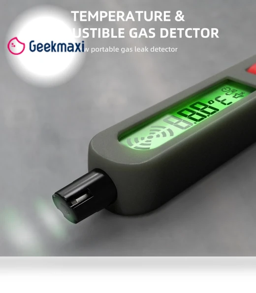 Combustible Gases Leak Detector — Gas Safety Equipment, BSIDE