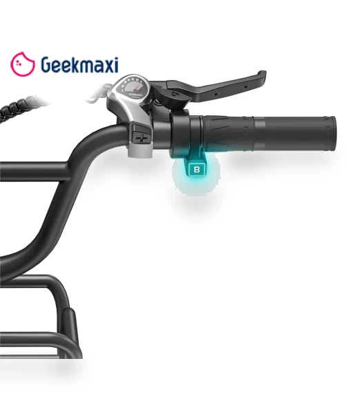Step-Thru Electric Bike — Electric Self-Balancing Scooters, ENGWE