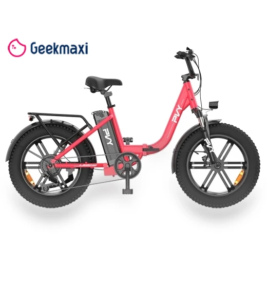 Electric Bike — Electric Self-Balancing Scooters, PVY
