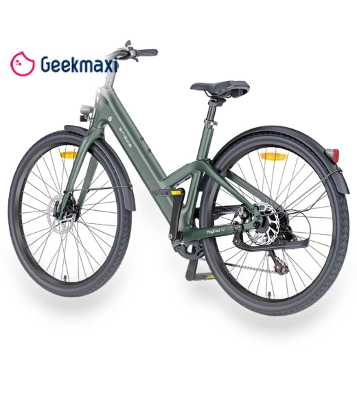 Electric Bike — Electric Self-Balancing Scooters, ENGWE