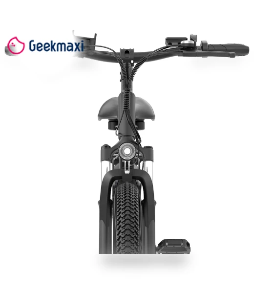 Electric Bike — E-Bikes, Ridstar