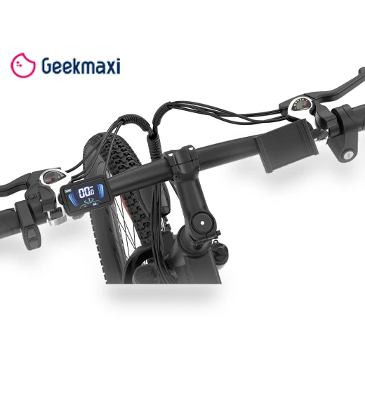 Electric Bike — E-Bikes, Ridstar