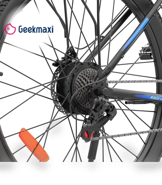 Electric Bike — E-Bikes, Ridstar