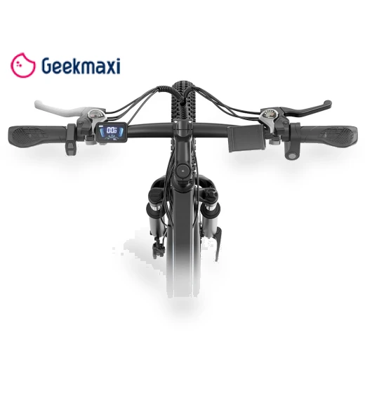 Electric Bike — E-Bikes, Ridstar
