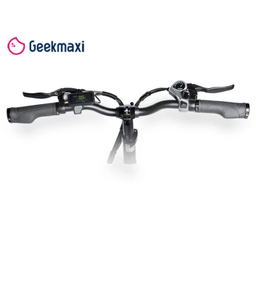 Step-thru E-Bike Trekking Bike — Leisure Bicycles, Myatu