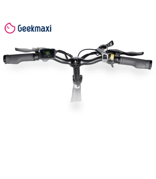 Step-thru E-Bike Trekking Bike — Leisure Bicycles, Myatu