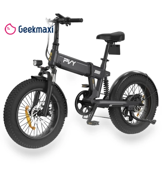 Turbo Electric Bike — Electric Self-Balancing Scooters, PVY