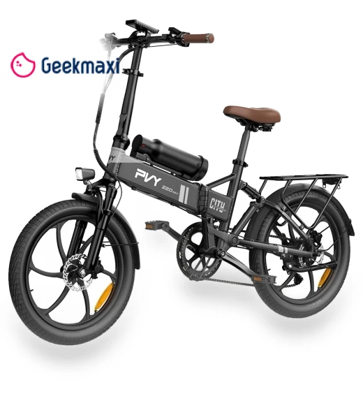 Z20 MAX Electric Bike — Electric Self-Balancing Scooters, PVY