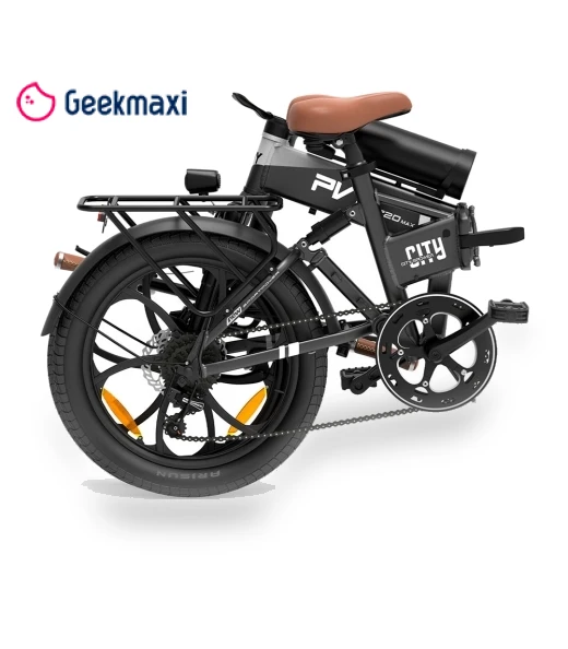 Z20 MAX Electric Bike — Electric Self-Balancing Scooters, PVY