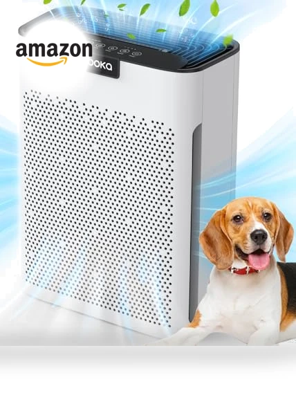 Air Purifier for Home Large Room — Air Moisturizers, Mooka