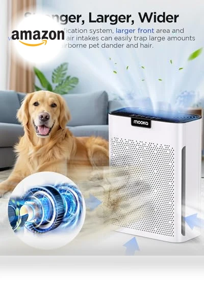 Air Purifier for Home Large Room — Air Moisturizers, Mooka