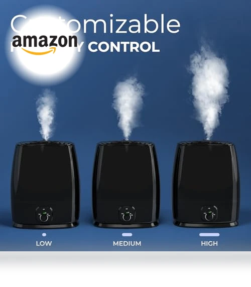 Cool Mist Humidifier — Air Moisturizers, Everlasting Comfort